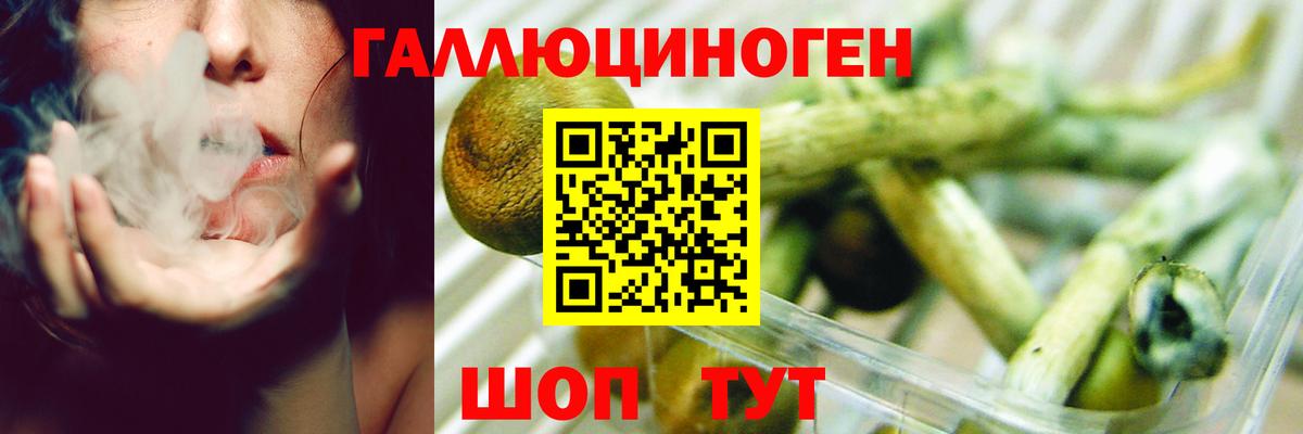 Псилоцибиновые грибы MAGIC MUSHROOMS Горячий Ключ